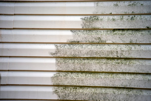 Best James Hardie Siding  in East Brewton, AL