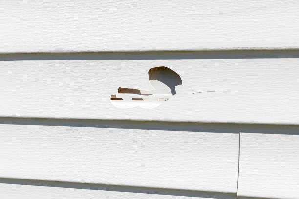 Best Siding Painting and Refinishing  in East Brewton, AL