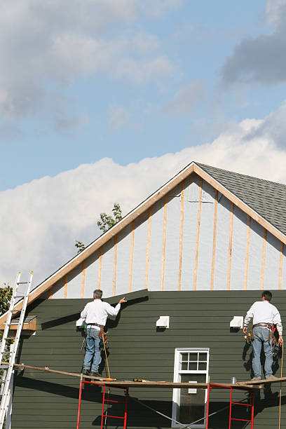 Best Custom Siding Design  in East Brewton, AL