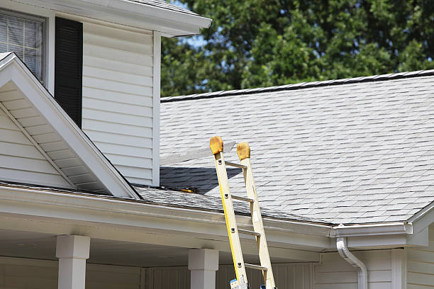 Best Storm Damage Siding Repair  in East Brewton, AL
